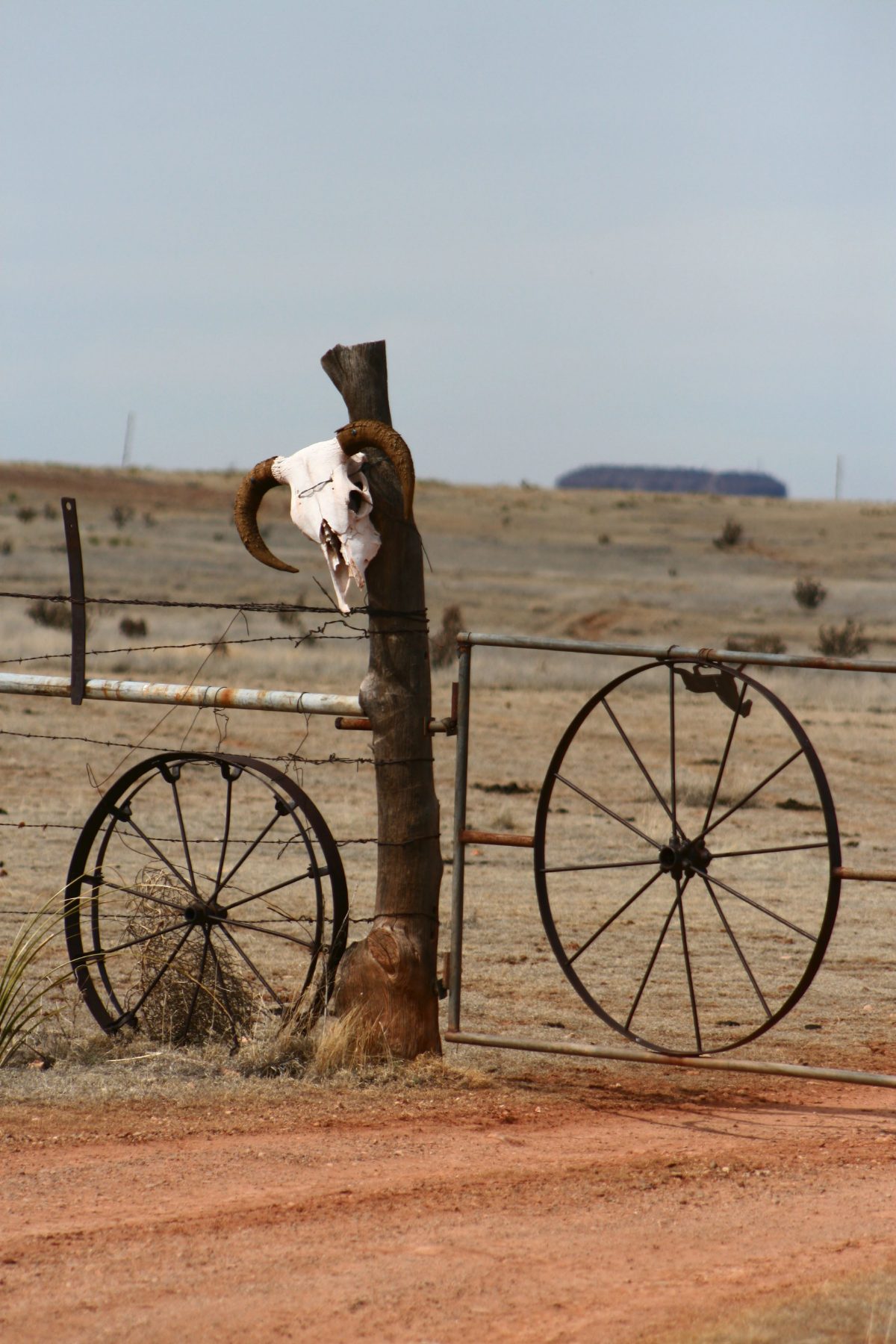 Cerca de rancho con cráneo, ruedas antiguas y paisaje rural.